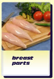 breast parts