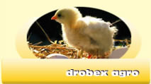 drobex agro