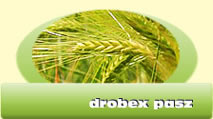 drobex pasz