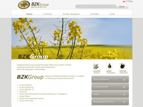 BZK Group